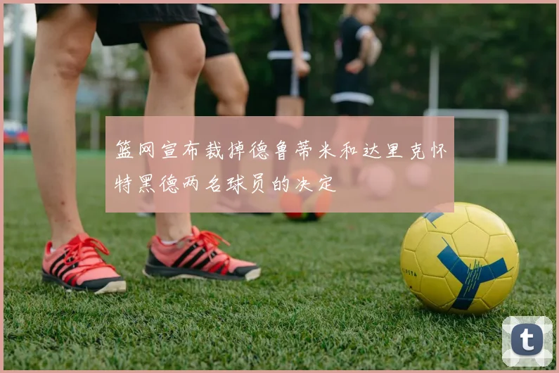 篮网宣布裁掉德鲁蒂米和达里克怀特黑德两名球员的决定
