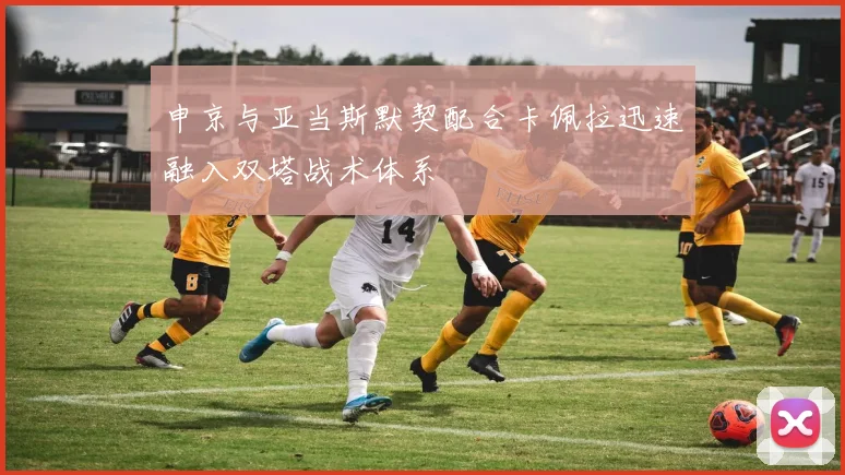 申京与亚当斯默契配合卡佩拉迅速融入双塔战术体系