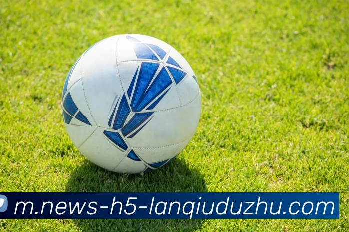 App Interface Preview