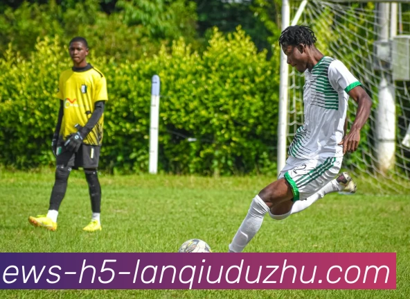 篮球赌注APP 封面图